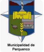 Logo 20